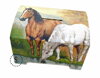 Dřevěná kasička velká - koníci