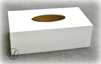 Box na kapesníky - bílý